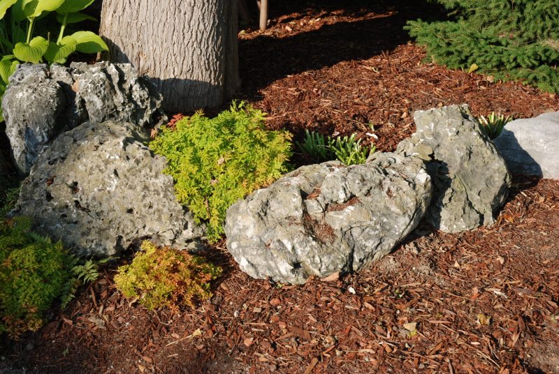Moss Rocks Perth Home / Our Products / Decorative Stone / Moss Rock Boulders