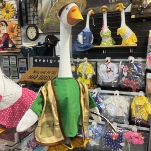 Giddy the Goose - Fishing