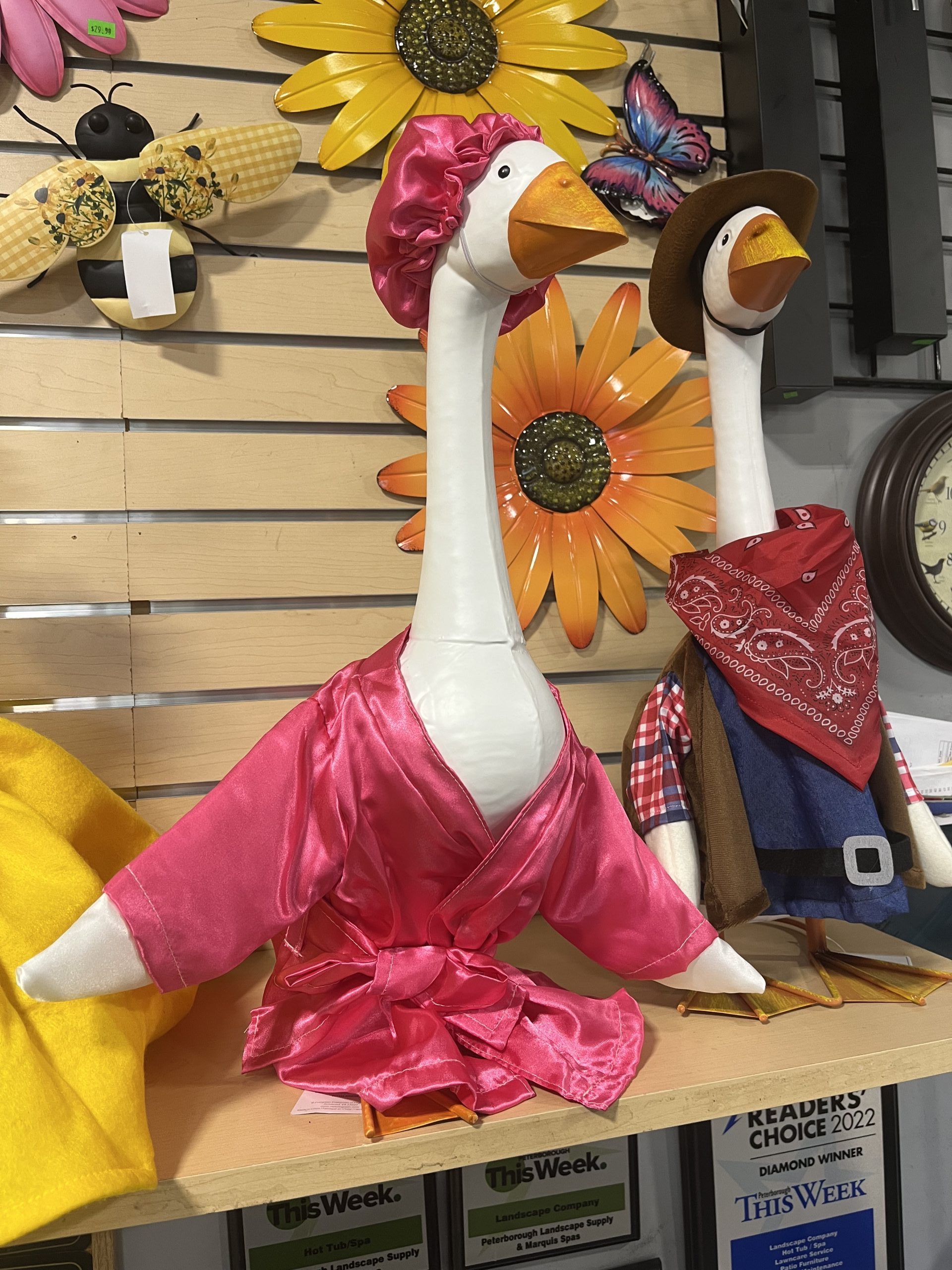 Giddy the Goose - Pink Rob