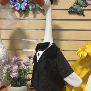 Giddy the Goose - Groom