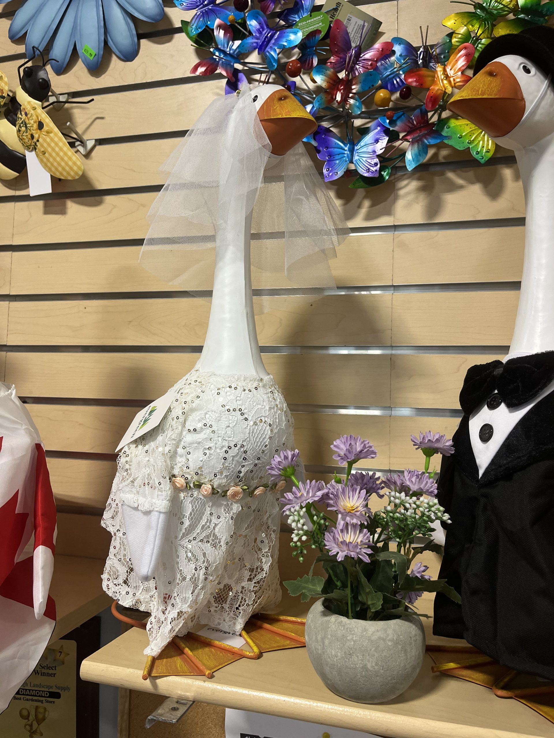 Giddy the Goose - Bride